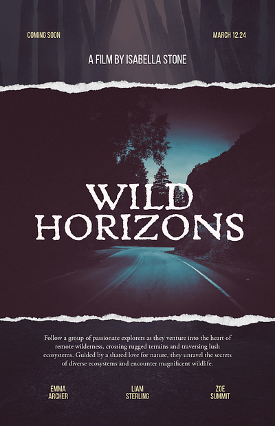 WILD HORIZONS MOVIE POSTER 3d design graphic design illustration movie poster typography