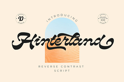 Hinterland Reverse Contrast Script Font bold bold quirky type display hipster hipster font logo fonts modern modern typography quirky quirky fonts quirky letters quirky type retro reverse reverse contrast script typography unique vintage vintage fonts