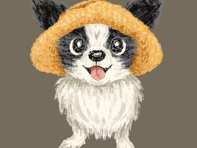 Chihuahua with hat animal character dog pet puppy