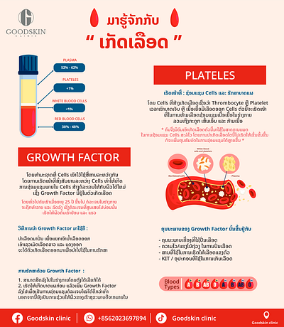 info Project Poster Blood graphic design