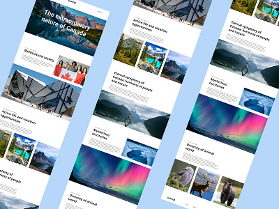 Canada Chronicles: Exploring the Great North canada design harmony longrid nature people symphony ui ux