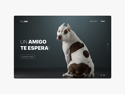 Pet_One: Your Trusted Veterinary Partner – Landing Page Unveiled product design