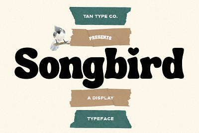 TAN - SONGBIRD buster creative design fonts graphic tan typeface typefaces typography