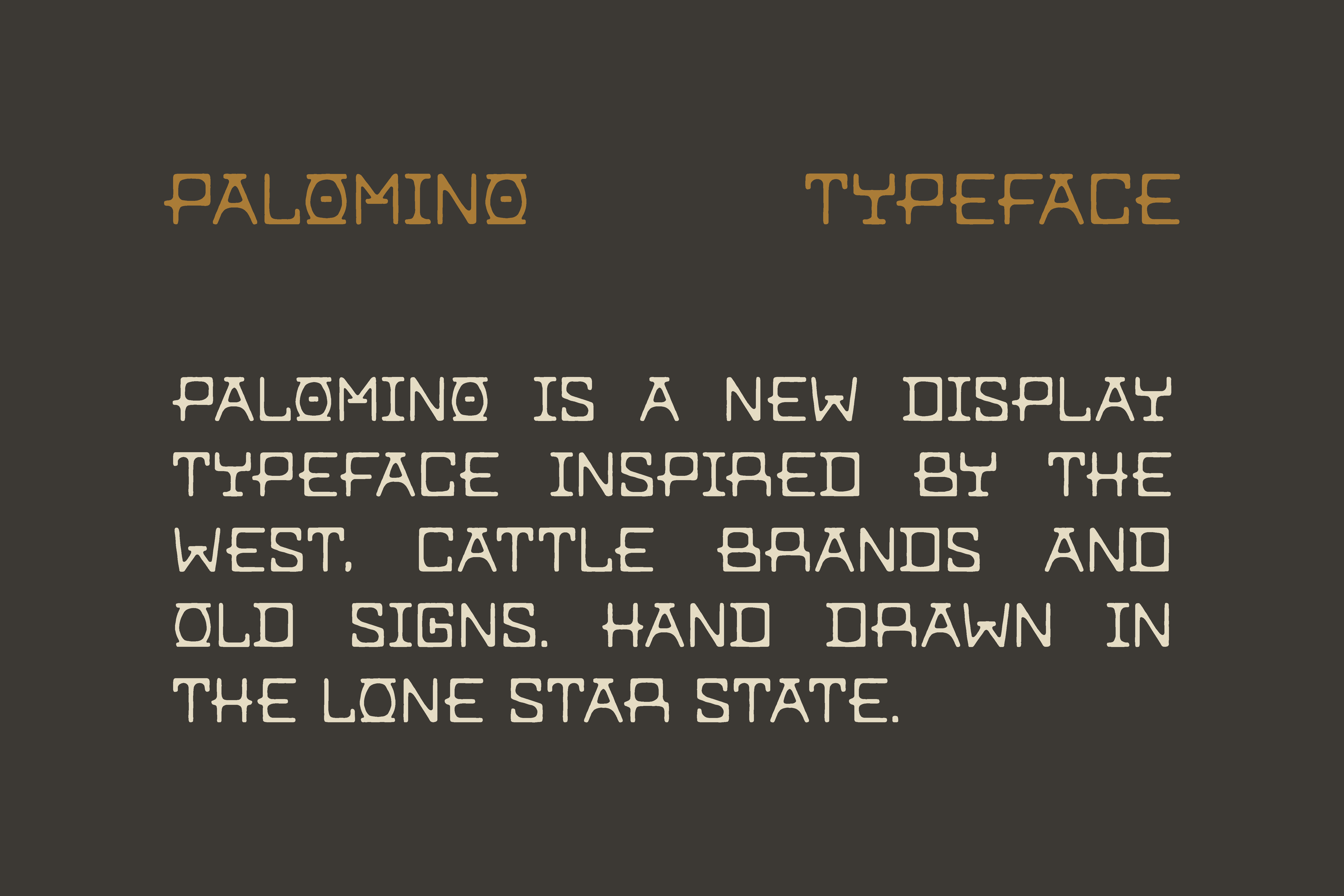 Palomino Typeface by Ocotillo Design Studio branding design font graphic design handmade font illustration logo typographic design typography western