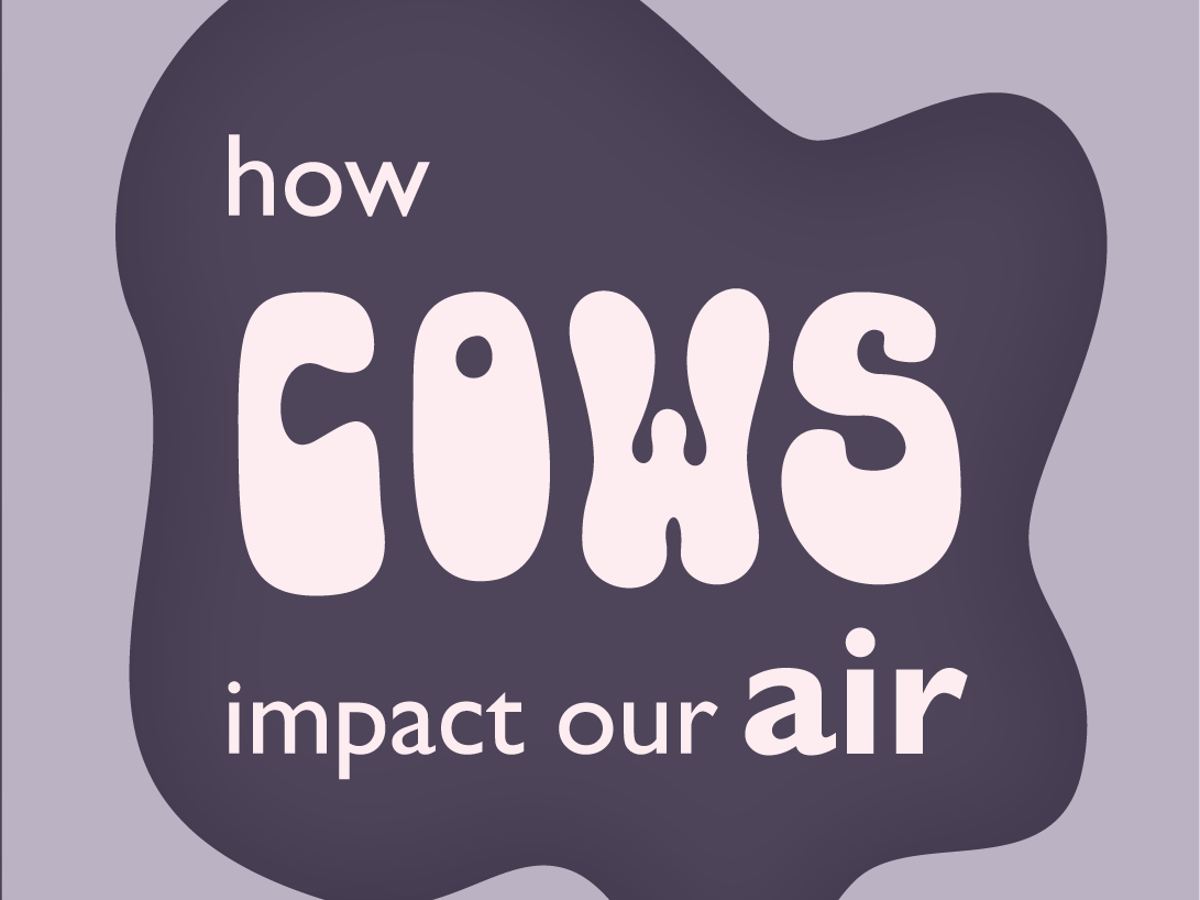 How Cows Impact Our Air by Sabrina Urban on Dribbble