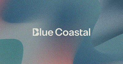 Blue Coastal | 01 brand brand design branding branding concept branding design design graphic design illustration logo ui