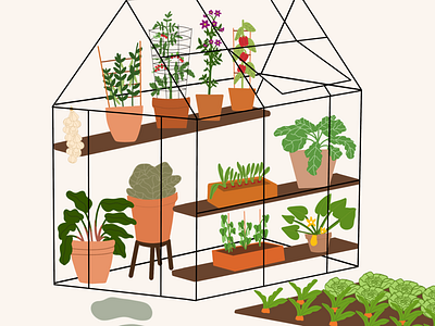 HGTV Canada Illustration garden greenhouse hgtv canada illustration illustration design illustrator