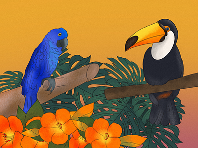 tropical birds digital art drawing graphic design illustration procreate