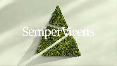 SemperVirens Identity 3d branding logo type typography