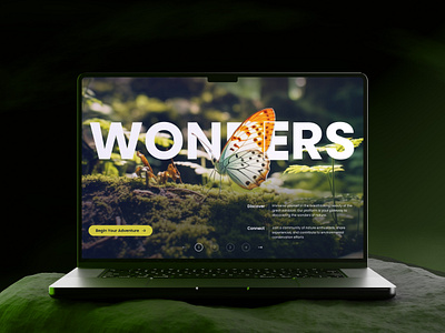 Ecozen - Nature documentary website cleandesign herosection herouserinterface interface minimaldesign mockup moderndesign modernui screen sereendesign ui uidesign uiuxdesign userexperience userinterface uxdesign webdesign webinterface webui webuidesign