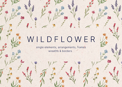 Wildflower Watercolor Design Elements borders flower frame pattern png png download png element watercolor wildflower