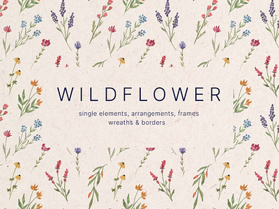 Wildflower Watercolor Design Elements borders flower frame pattern png png download png element watercolor wildflower