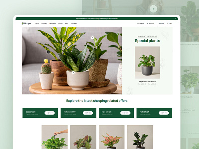 Hongo - Multipurpose Shopify Theme - Garden Plants Store creative design ecommerce farming fashion flowers garden modern multipurpose online planters portfolio responsive shopify shopping stores theme unique