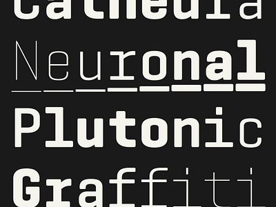 Geogrotesque Mono, new release! 🔥 branding font graphic design logo motion graphics type typography ui