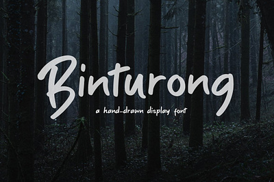 Binturong A Hand Drawn Display Font binturong comic sans cool fonts futura font helvetica font typeface typography typography meaning