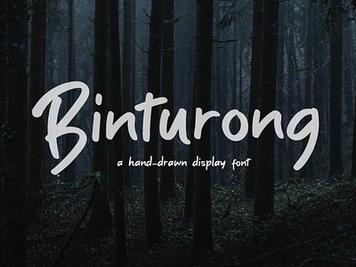 Binturong A Hand Drawn Display Font binturong comic sans cool fonts futura font helvetica font typeface typography typography meaning