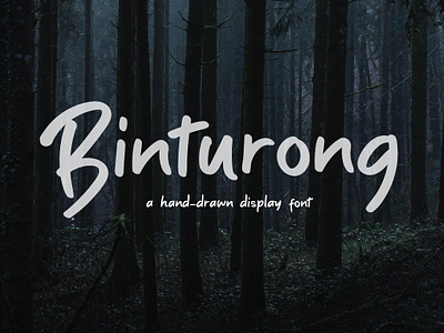 Binturong A Hand Drawn Display Font binturong fonts online futura font helvetica font open sans sans serif font typeface typography typography meaning