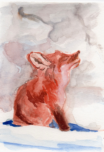 renard artwork illustration painting