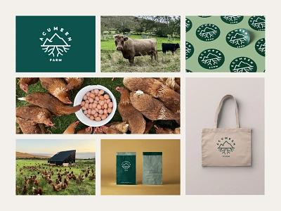 Acumeen Farm - Brand elements brand elements branding design package eggs farm logo farming graphic design green green logo logo logo design mountain nature packaging roots