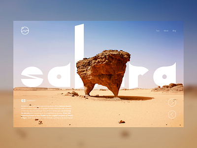 Sahara | Website brand branding clean design flat graphic design illustration logo ui vector