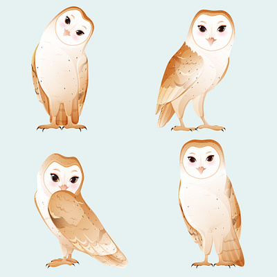Owls adobe illustrator art birds character design cute design digital art illustration owl vector