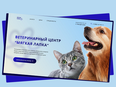 Concept art for a vet clinic design ui ux webdesign website