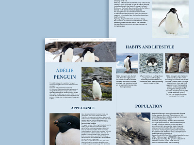 Penguin longrid [1] design longrid penguins ui ux webdesign website