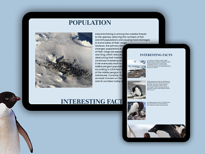 Penguin longrid [2] design longrid penguins ui ux webdesign website