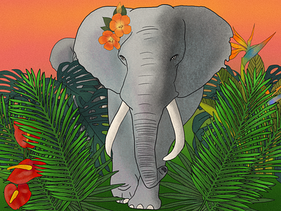 elephants digital art drawing graphic design illustration procreate