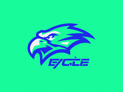 Eagle Logo branding design eagle eagle logo graphic design identity illustration logo mark tshirt vector
