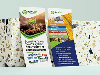 flayer brendbook design flayer graphic design illustration