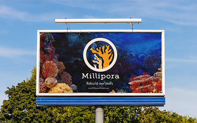 Millipora (Grow your own coral!) branding climate change graphic design packaging regenerative