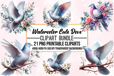 Watercolor Cute Dove Clipart Bundle vertical