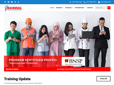 Web Design for handaltraining.com elementor figma web design website design wordpress
