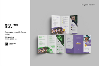 Three Trifold Mockup showcase