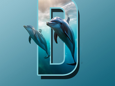 Dolphins branding graphic design logo ui