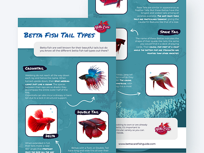 Betta Fish Tail Types design graphic design infographic informational infographic