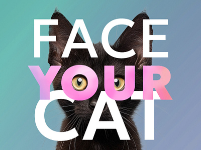 "Face your cat" survey cat creaive design graphic design infographics social survey