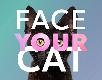 "Face your cat" survey cat creaive design graphic design infographics social survey