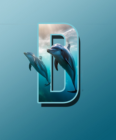 Dolphins are friendly uxuidesigngraphicscreative