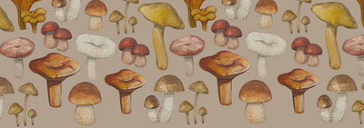 Mushrooms illustration mushrooms poster