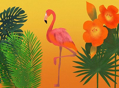 flamingo digital art drawing graphic design illustration procreate