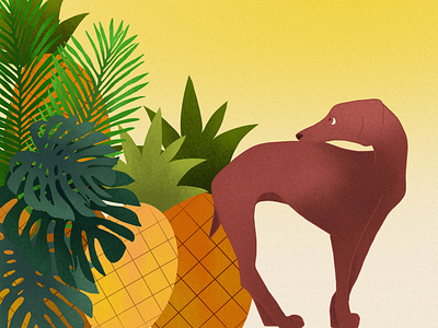 dog and ananas digital art drawing graphic design illustration procreate
