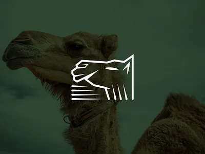 NATIONAL ACOUSTIC brand branding design designer graphic design icon identity logo logotype typography براندينج تايبوجرافي لايك مخطوطات تصميم شعار شعارات شعارات عربية كاليجرافي لوجو لوقو هوية