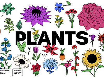 Plants Illustrations Collection branding design elements floral futuristic geometric graphic design illustration nature objects plants poster spring ui