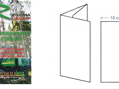 Brochure design branding brochure business design graphic design logo