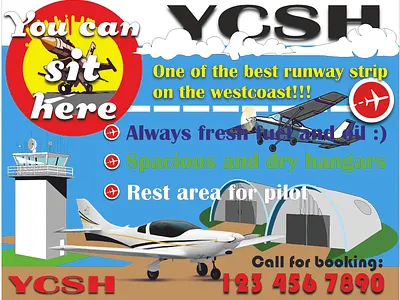 Flyer design for private airport ads branding design flyer graphic design logo planes signs vector