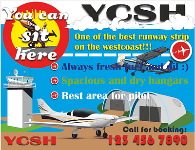 Flyer design for private airport ads branding design flyer graphic design logo planes signs vector