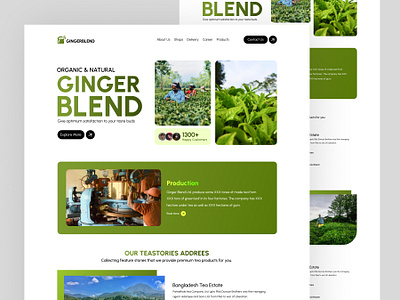 Ginger Blend | Tea Company Website Design. branding landing page logo tea company website ui design uiux uiux desgn user interface design