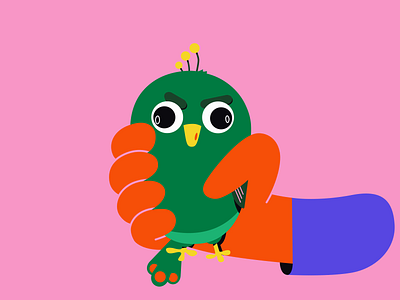 Squeeze creature - Angry Peacock 2d animation adobe animate after effects animal animation bird character creature frame by frame illustration motion graphics procreate rough animator